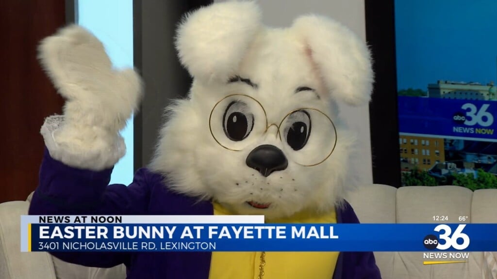Meet The Easter Bunny At Fayette Mall
