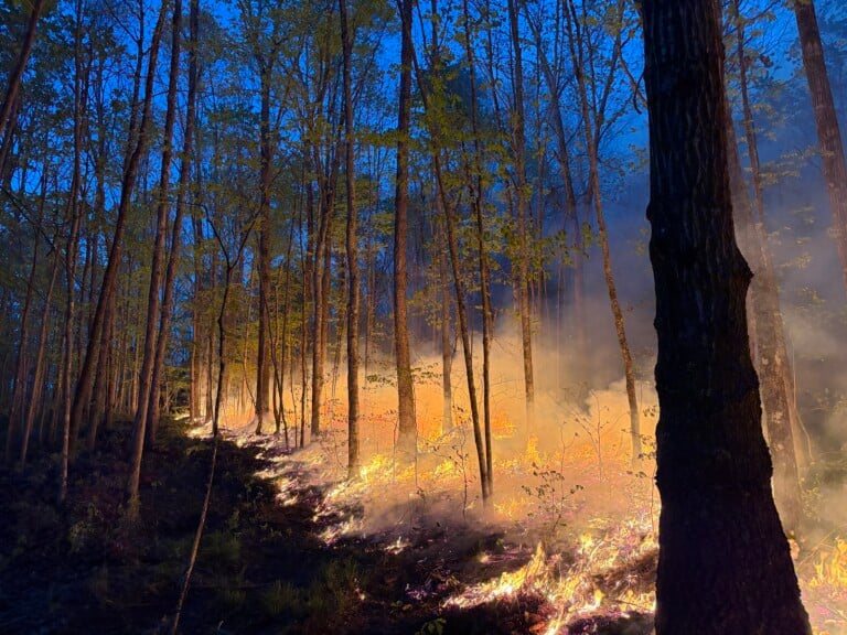 Photo of McCreary County Alum Fire