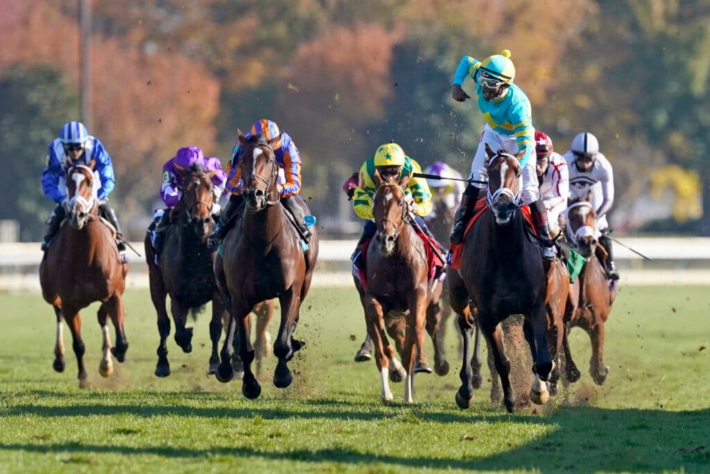 Aptopix Breeders Cup Horse Racing