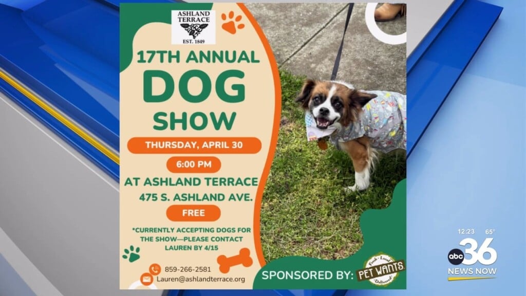 The 17th Annual Dog Show Out At Ashland Terrace