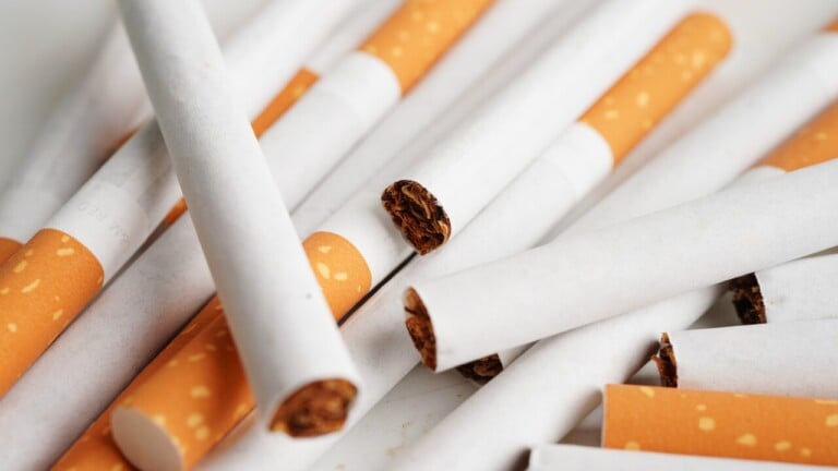 Ewscrippsbrightspotcdn