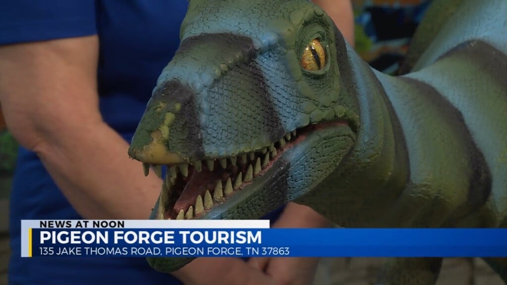 See The Sights At Pigeon Forge