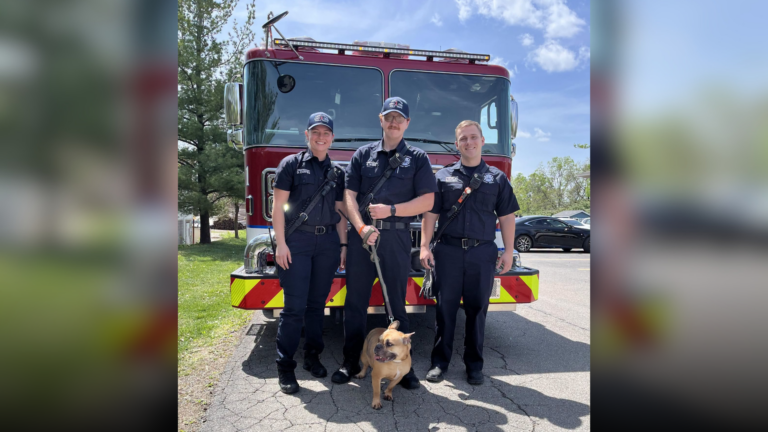 Featured Image Custom Edit 2