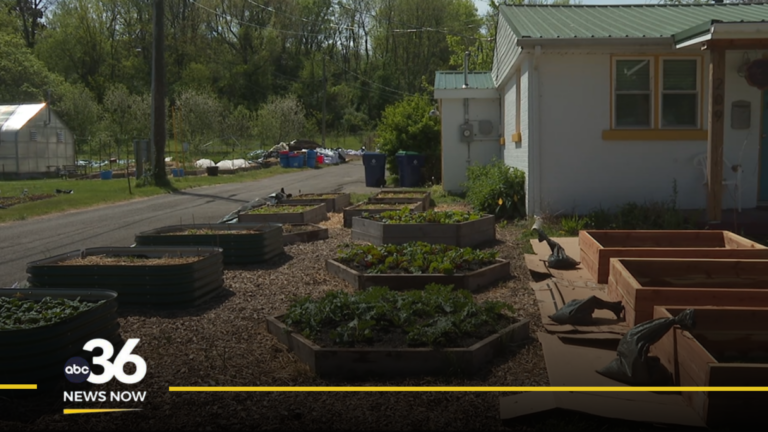 Victory Garden Blitz