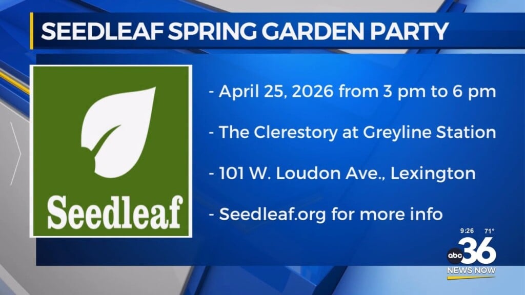 Seedleaf Spring Garden Party