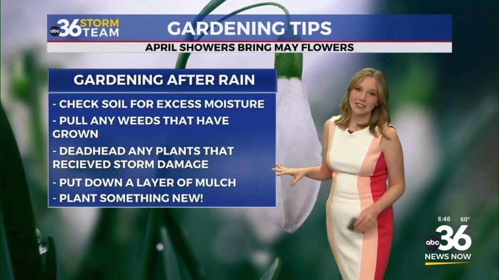 Cooler Air Settles In With Lingering Showers