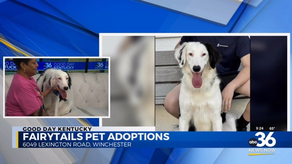 Momma, I'm Comin Home