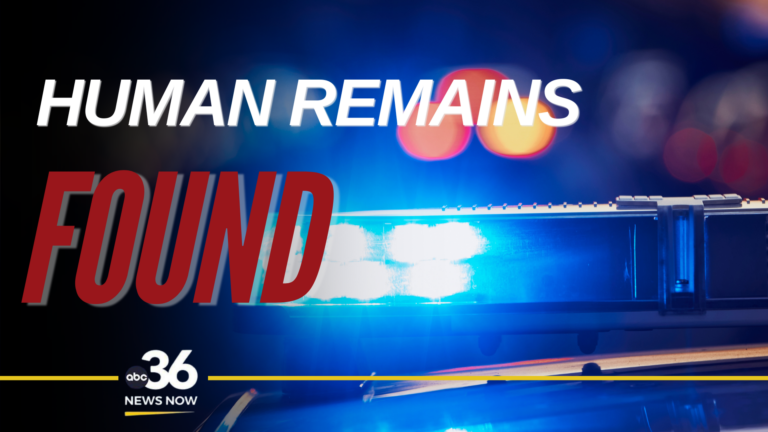 Human remains found graphic