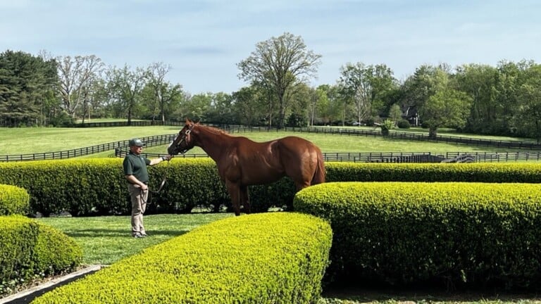 Airdrie Stud