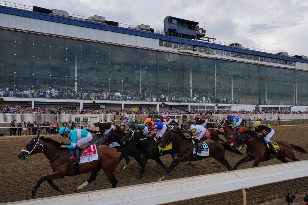 Aptopix Preakness Horse Racing