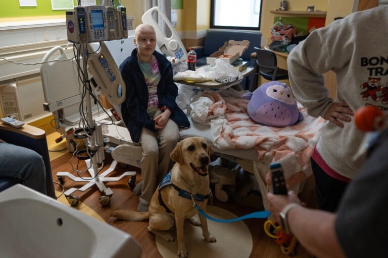 Children's Hospitals Dogs