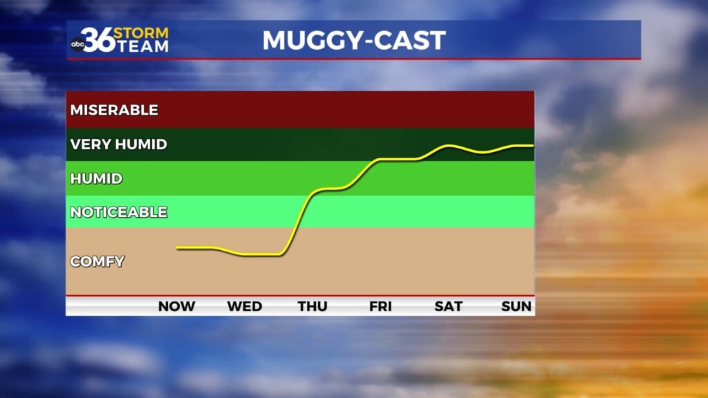 Tg Muggy