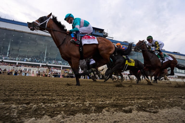 Preakness Horse Racing
