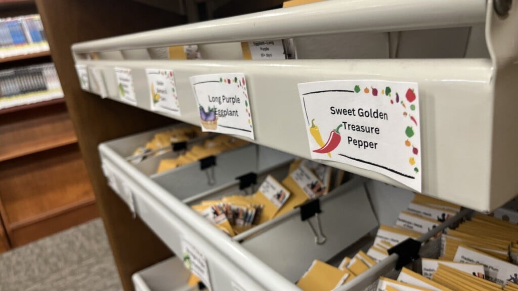 Ewscrippsbrightspotcdn