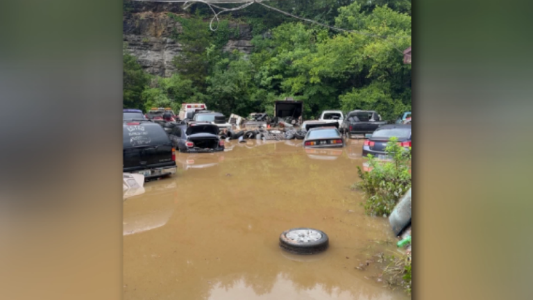 Estes Auto Parts & Towing in Jessamine County