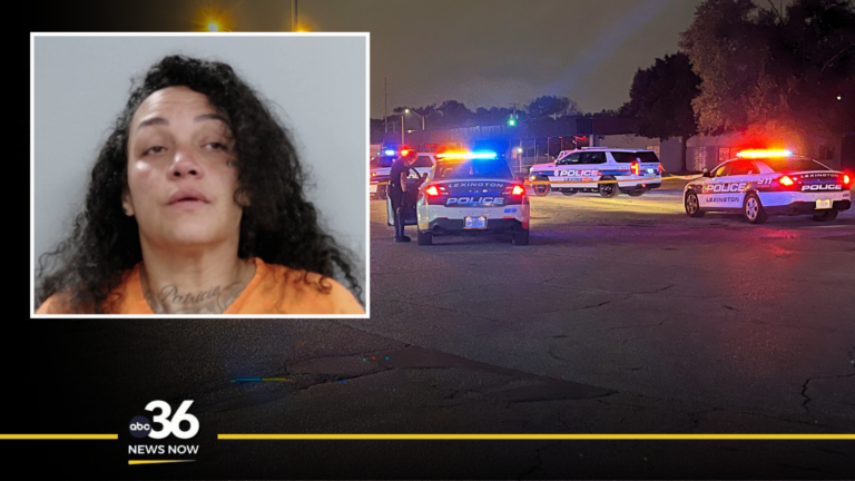 Tamara Ortiz, 48, mugshot