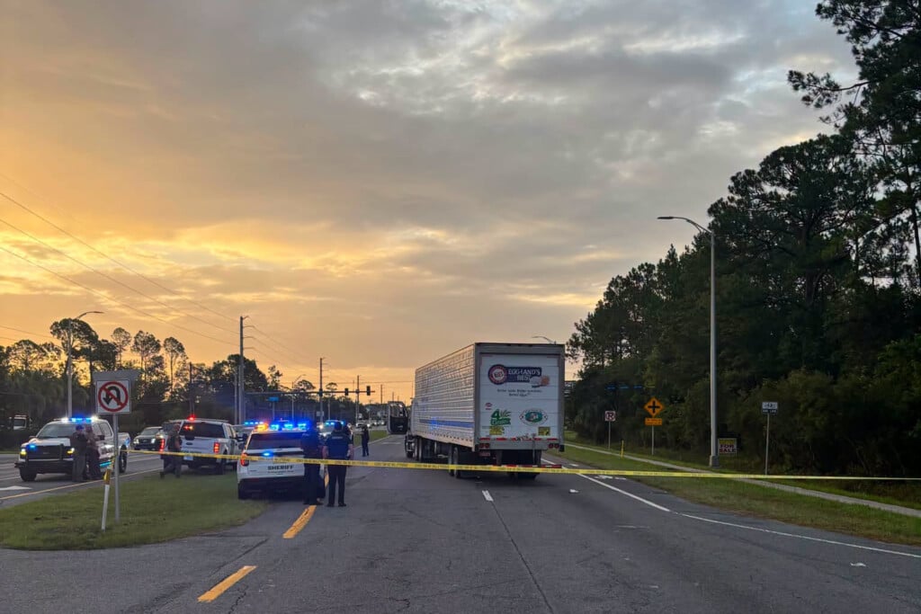 Immigration Enforcement Florida