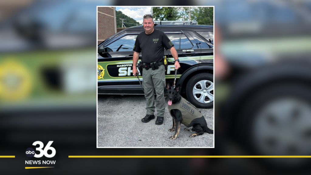 Nitra the K9 receives donated vest