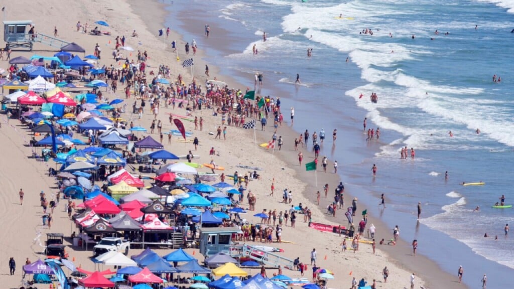 Download 15