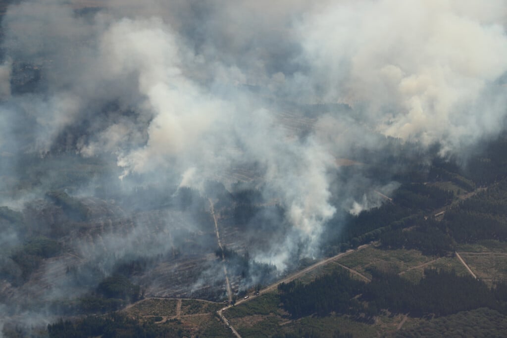 Germany Extreme Weather Wildfire