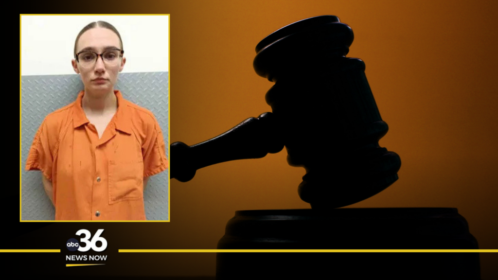 Ashley Anderson, 24, mugshot
