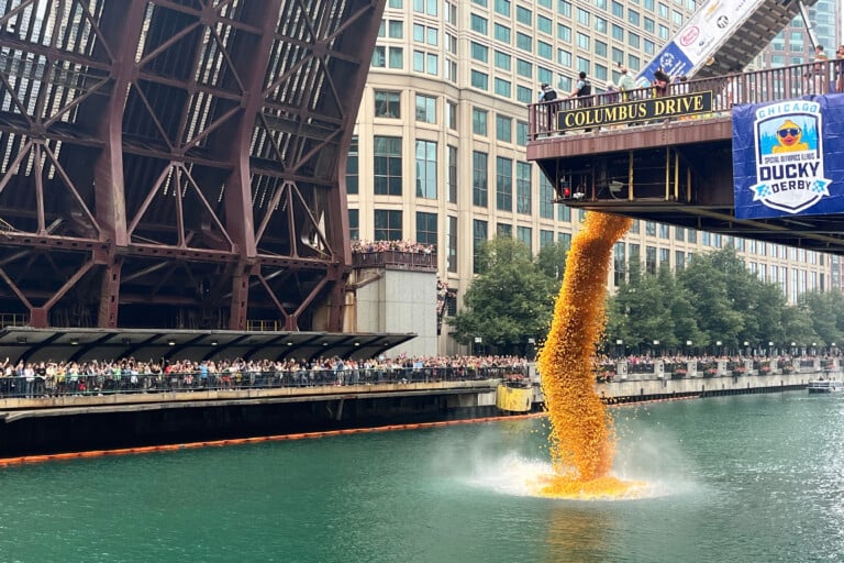 Chicago Rubber Duck Race
