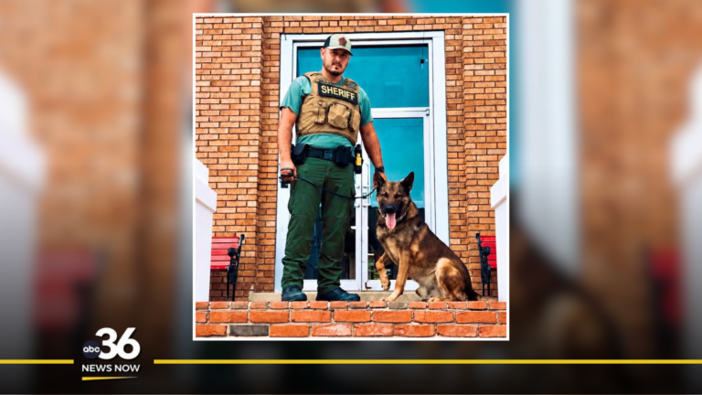 Wolfe County Sheriff's Office's Loki the K9 to receive protective vest donation