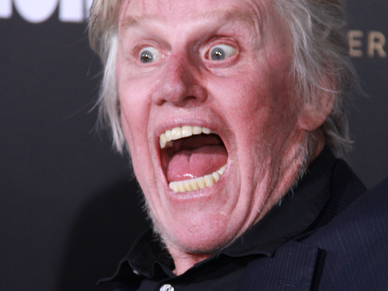 Gary Busey Is Charged With Sex Offenses At New Jersey Film Convention