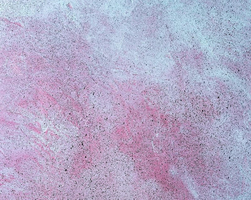 Cissy Houston, Whitney Houston’s Mom & Grammy Winning Singer, Dies At 91