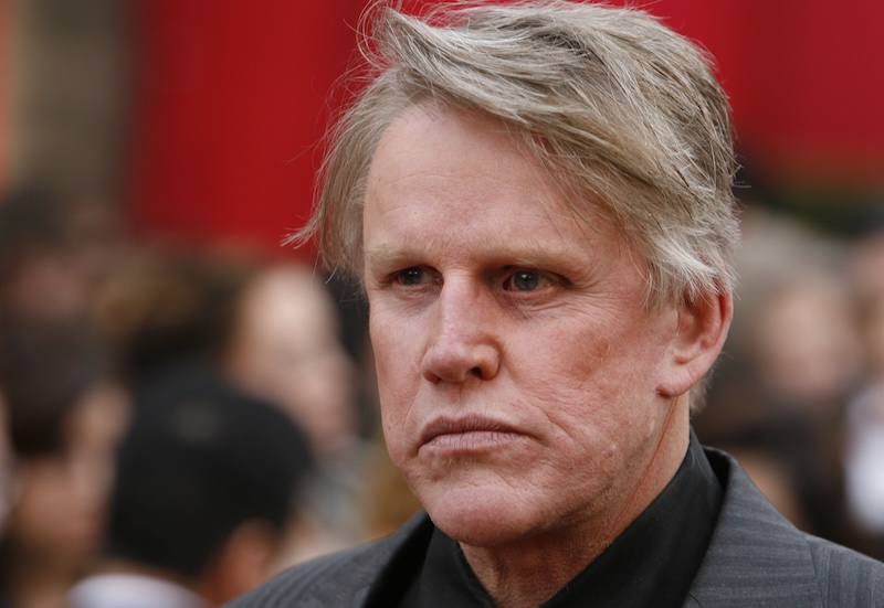Gary Busey Pleads Guilty To Criminal Sexual Contact In Chaotic Zoom Hearing