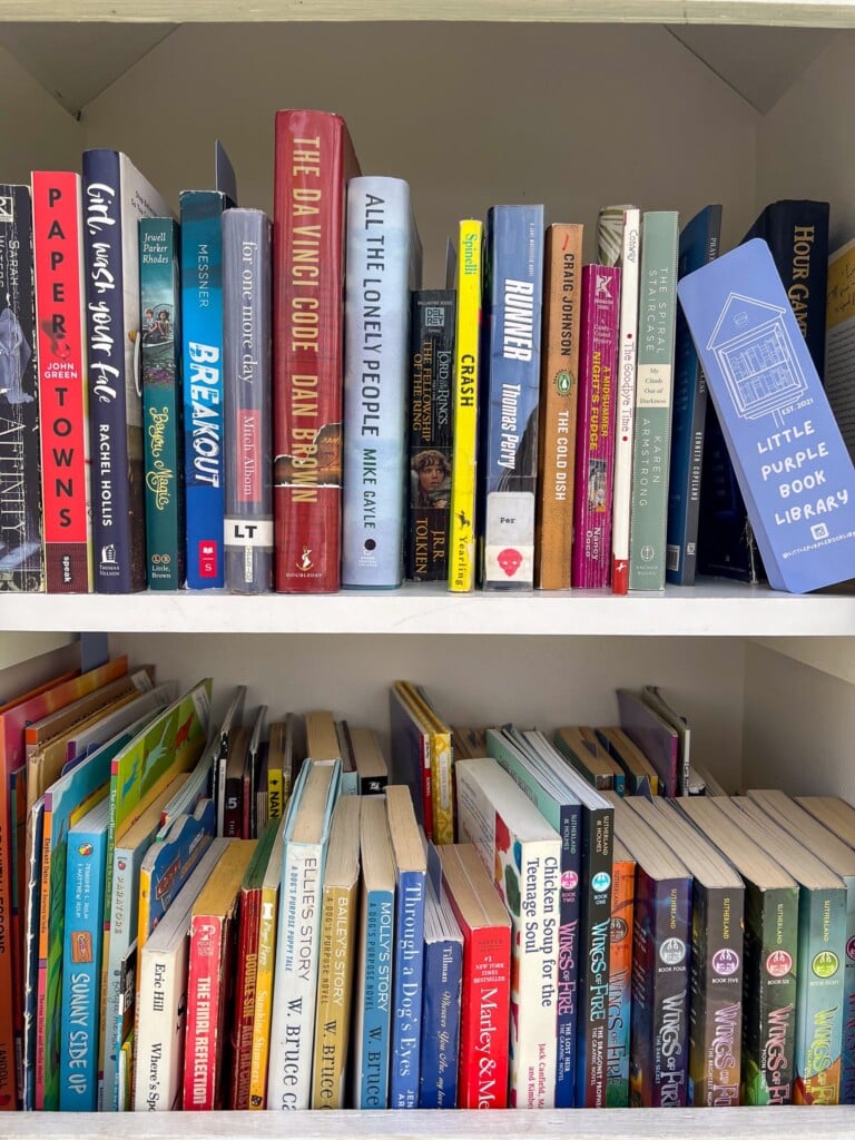 Looking For A Project To Do During The Pandemic, Kyle Seeber And Their Father Decided To Create A Free Book Library—the Little Purple Book Library.