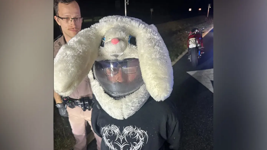 Bunnyhelmet