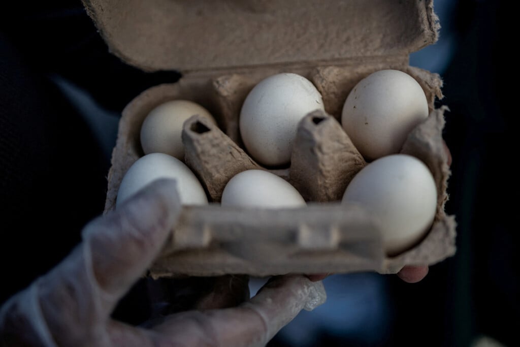 File Photo: A Vendor Holds Fresh Eggs At A Farmers Market In The U.s.