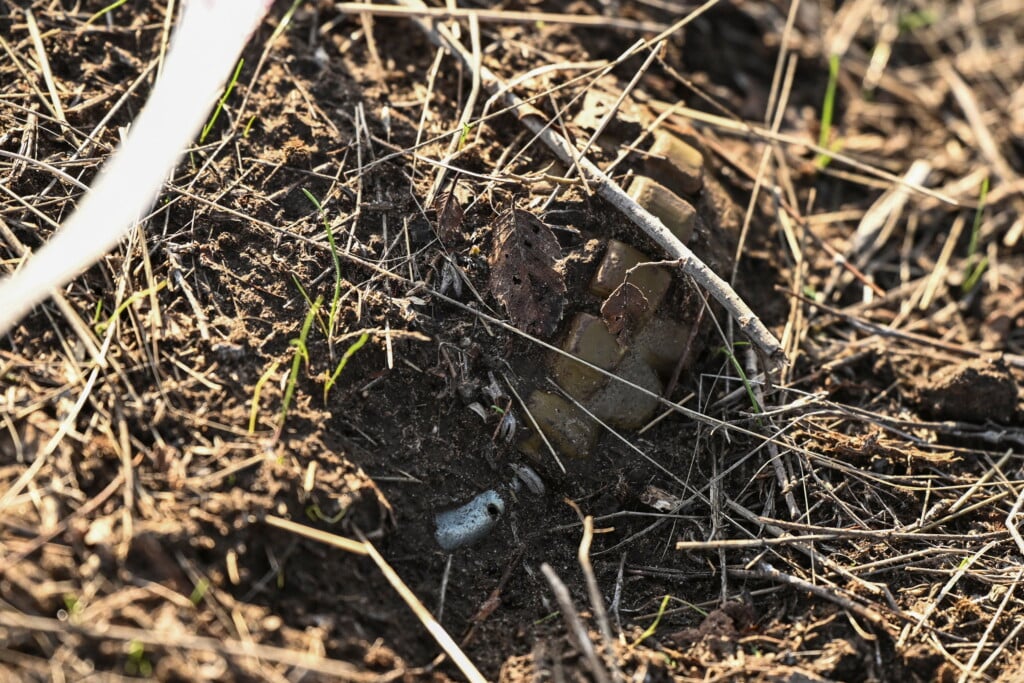 A Hand Grenade Partially Cowered With Soil Lies In A Field In Kherson Region