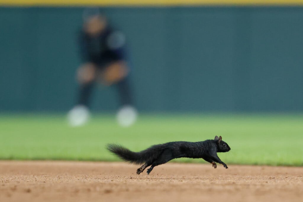 Mlb: Baltimore Orioles At Detroit Tigers