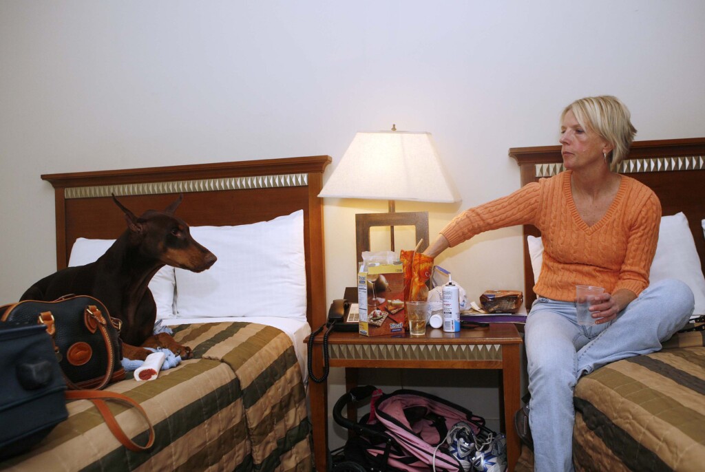 Cindy Reed Relaxes In Her Room At The Hotel Pennsylvania With Her Friend's Doberman, Rainy, In New York