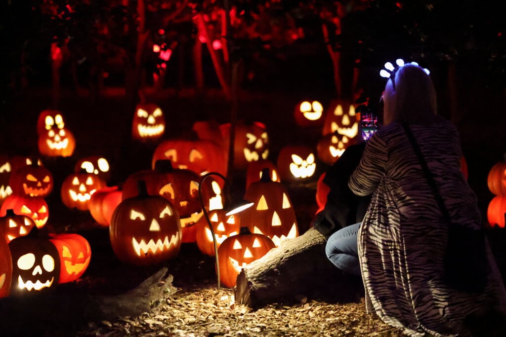 Carved A Halloween Themed Exhibit At Descanso Gardens, In La Canada Flintridge, California