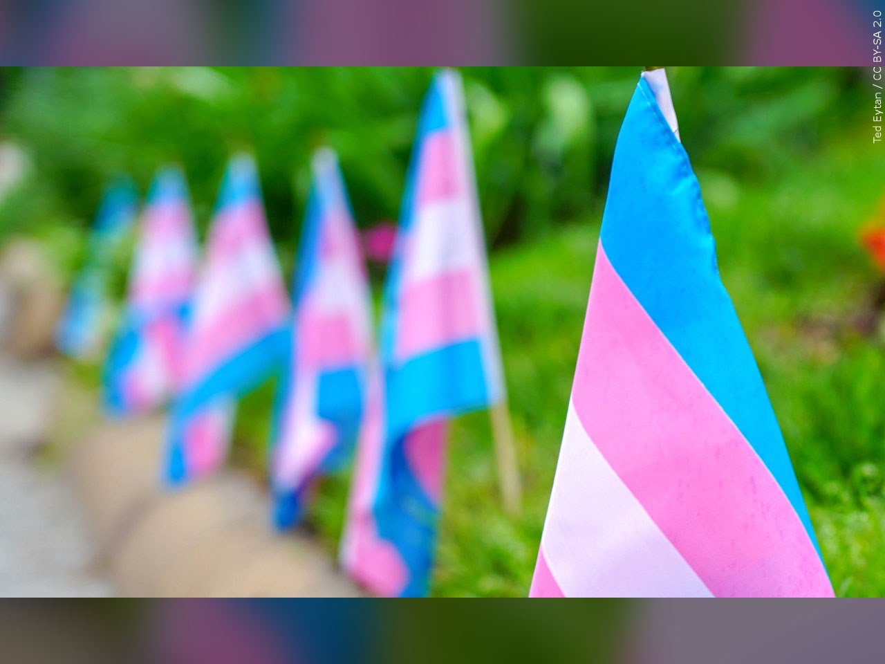 Alabama lawmakers move transgender treatment, bathroom legislation forward – WVUA 23