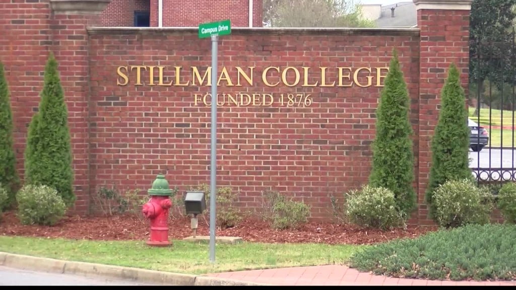 Stillman Stem