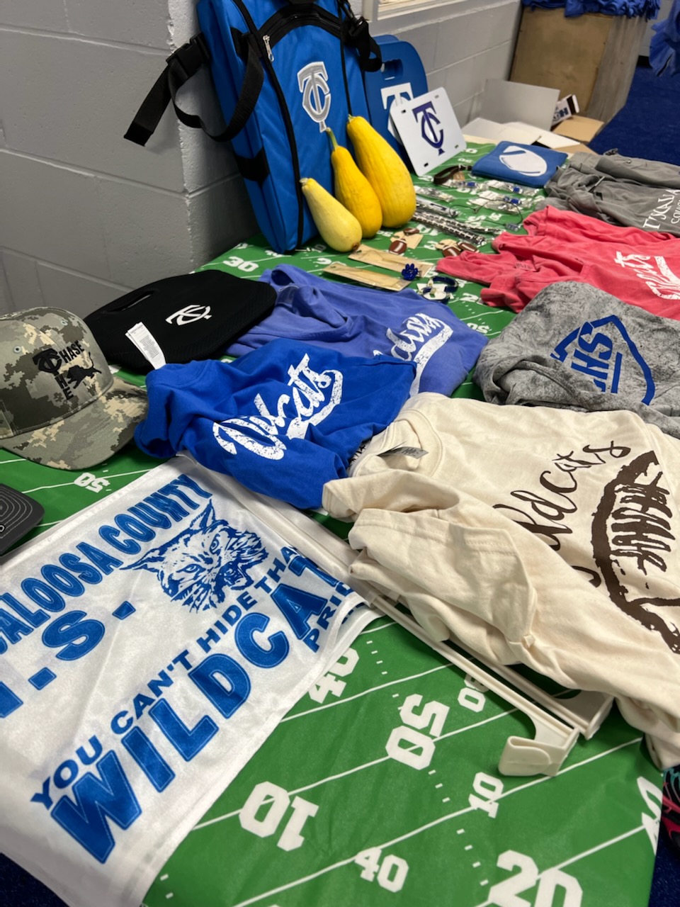 Ladies Football Clinic Returns to Tuscaloosa County High School - WVUA 23