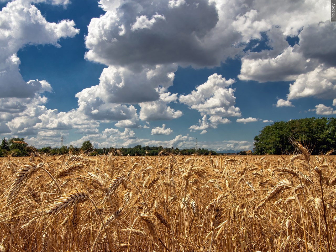 Farmers Scramble To Save Crops From Drier Fall Season - Wvua 23