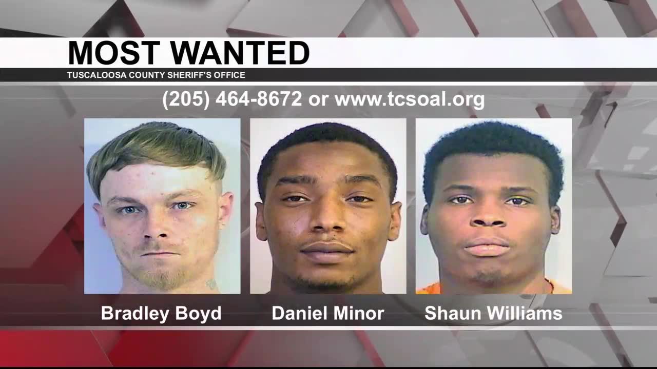 Tuscaloosa's Most Wanted: Nov. 23, 2022 - WVUA 23