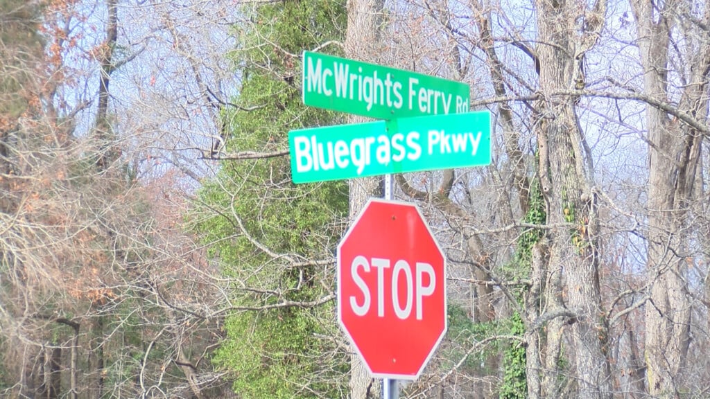 Mcwrights Ferry Project