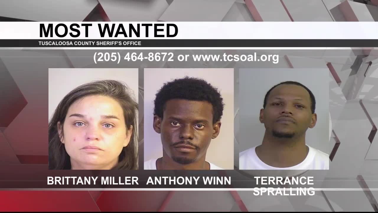 Tuscaloosa's Most Wanted: Feb. 9, 2023 - WVUA 23