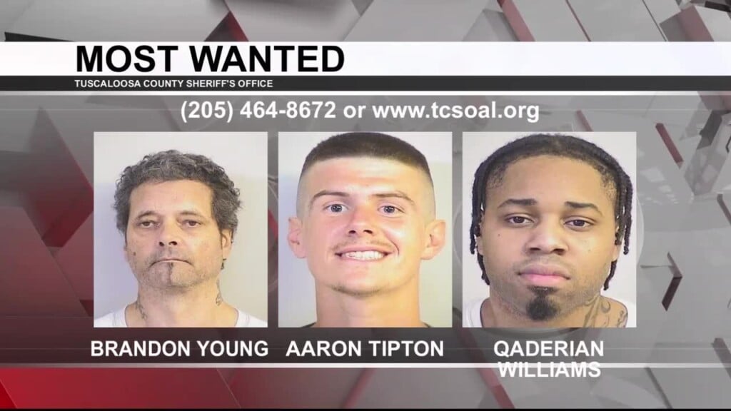 Tuscaloosa's Most Wanted Archives - Page 2 Of 3 - WVUA 23