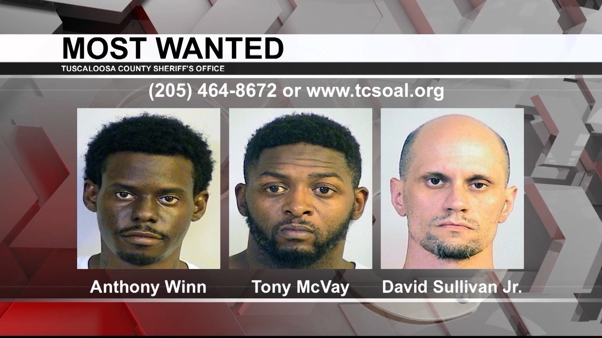 Tuscaloosa's Most Wanted Aug. 17, 2023 WVUA 23