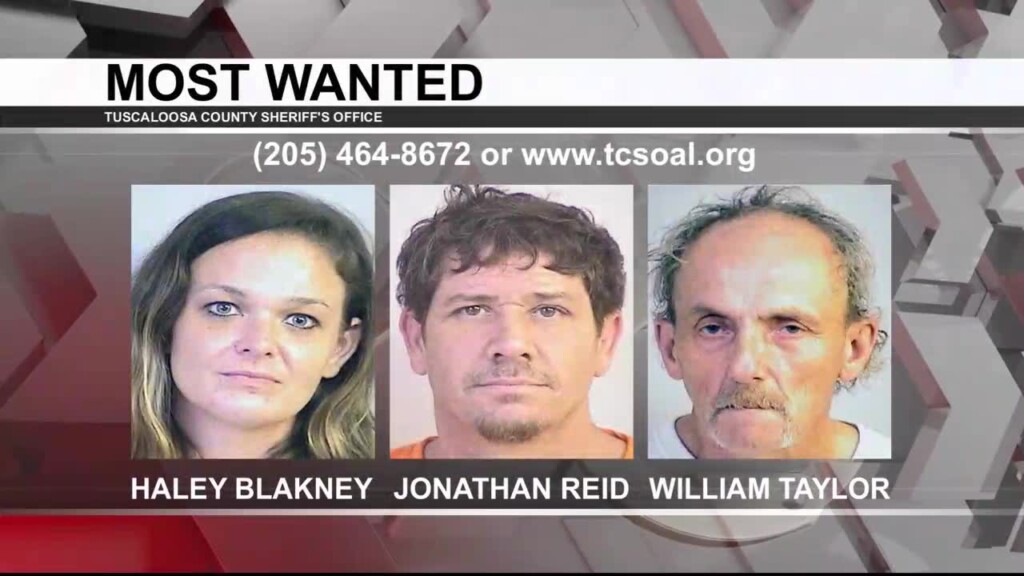 Tuscaloosa's Most Wanted: March 21, 2024