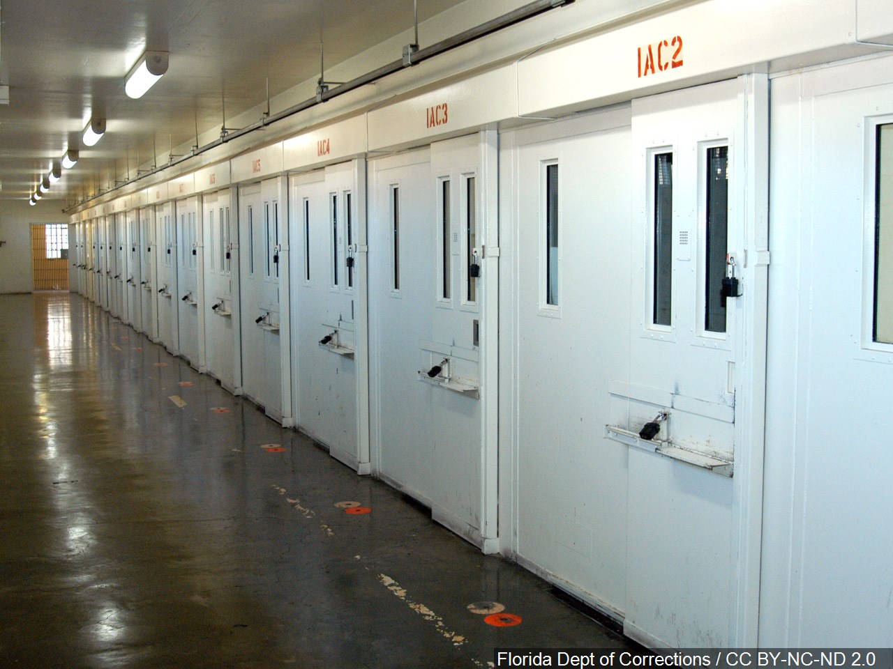 UN Says Nitrogen Gas Could Violate Convention Against Torture - WVUA 23