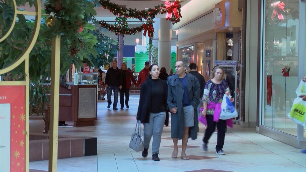 University Mall Holiday Shoppers
