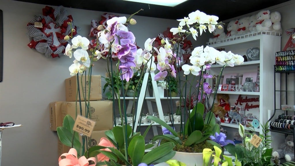 Tuscaloosa Flower Shoppe